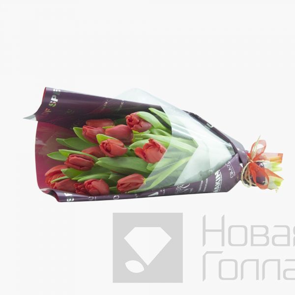 Букет 15 красных тюльпанов-3