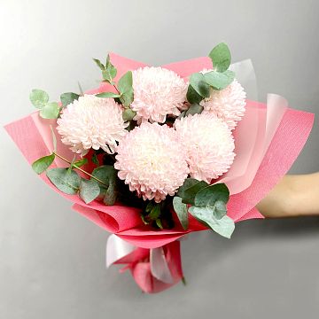Букет из 5 хризантем одноголовых