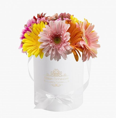 7 гербер в маленькой белой шляпной коробке 