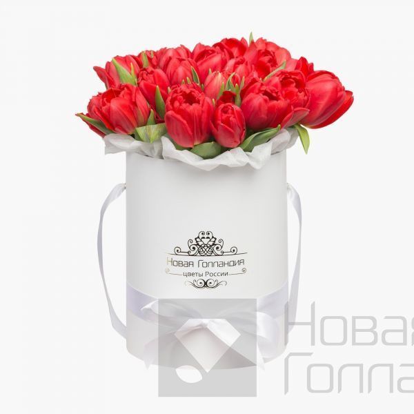 25 красных тюльпанов в белой маленькой шляпной коробке №525