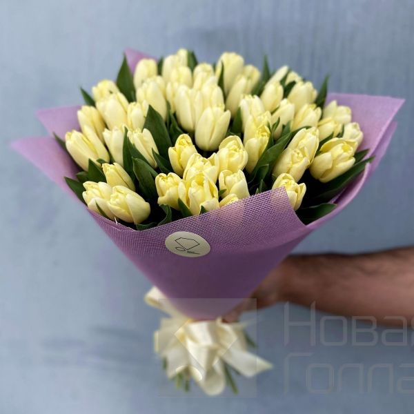 Букет 51 кремовый тюльпан