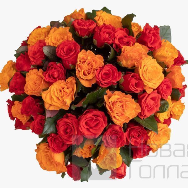 51 оранжевая и красная роза 35 см