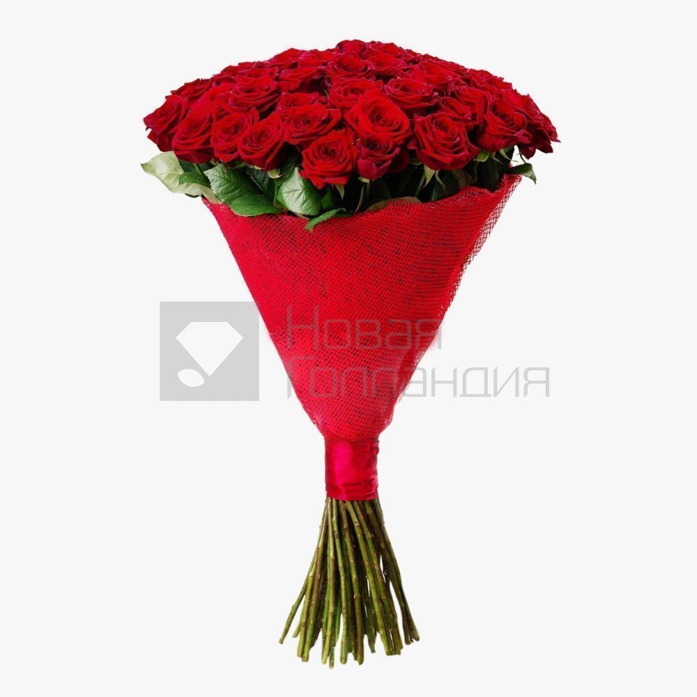Букет 51 красная роза 70см