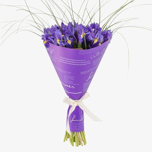 Букет 25 синих ирисов
