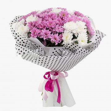 Букет 15 розово-белых кустовых хризантем