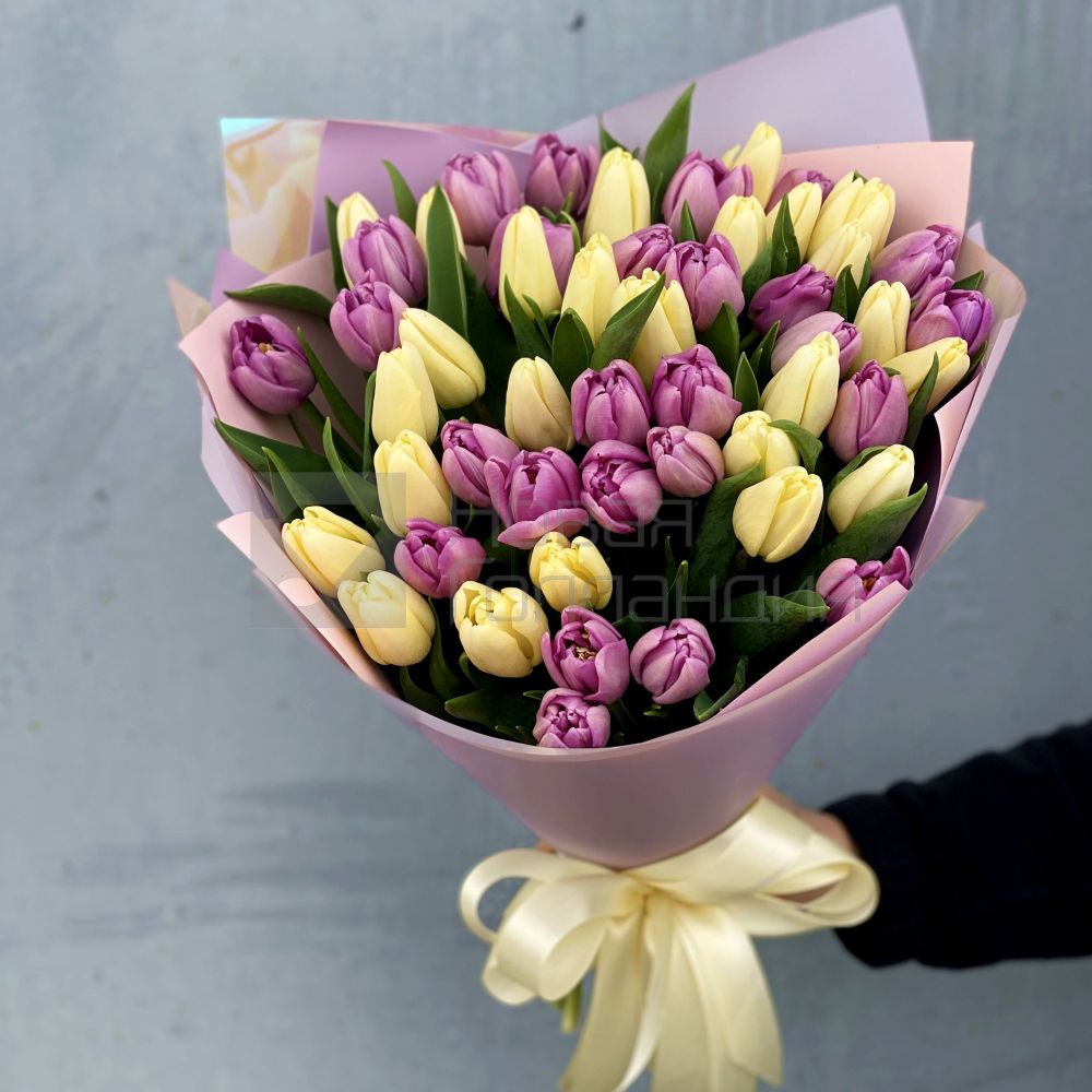 Букет 51 сиренево-кремовый тюльпан