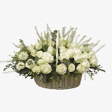 Прованс в средней корзине