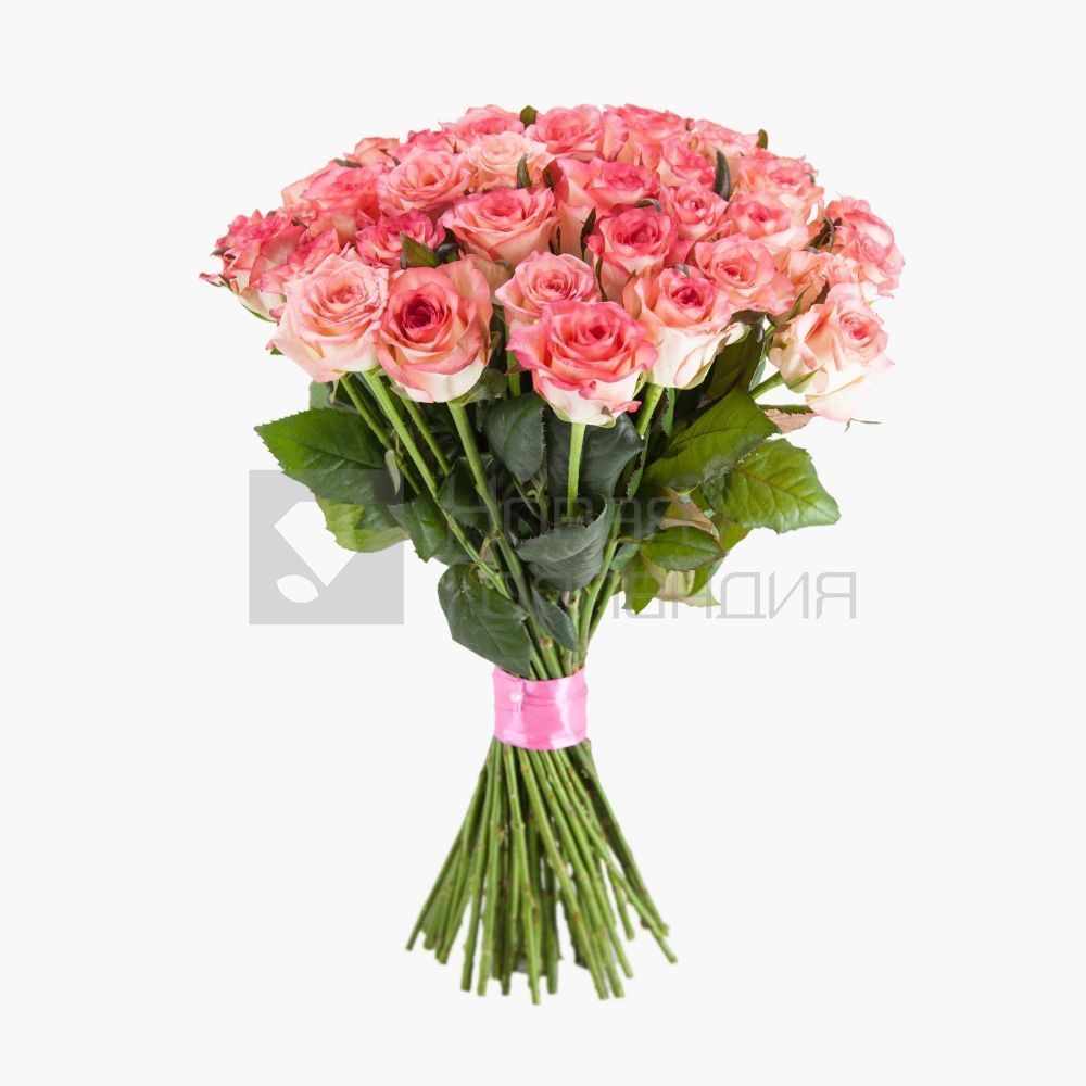 Букет 51 розовая роза 35 см