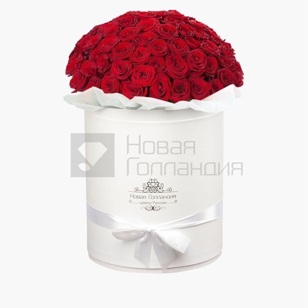 51 роза Премиум Эквадор в белой шляпной коробке