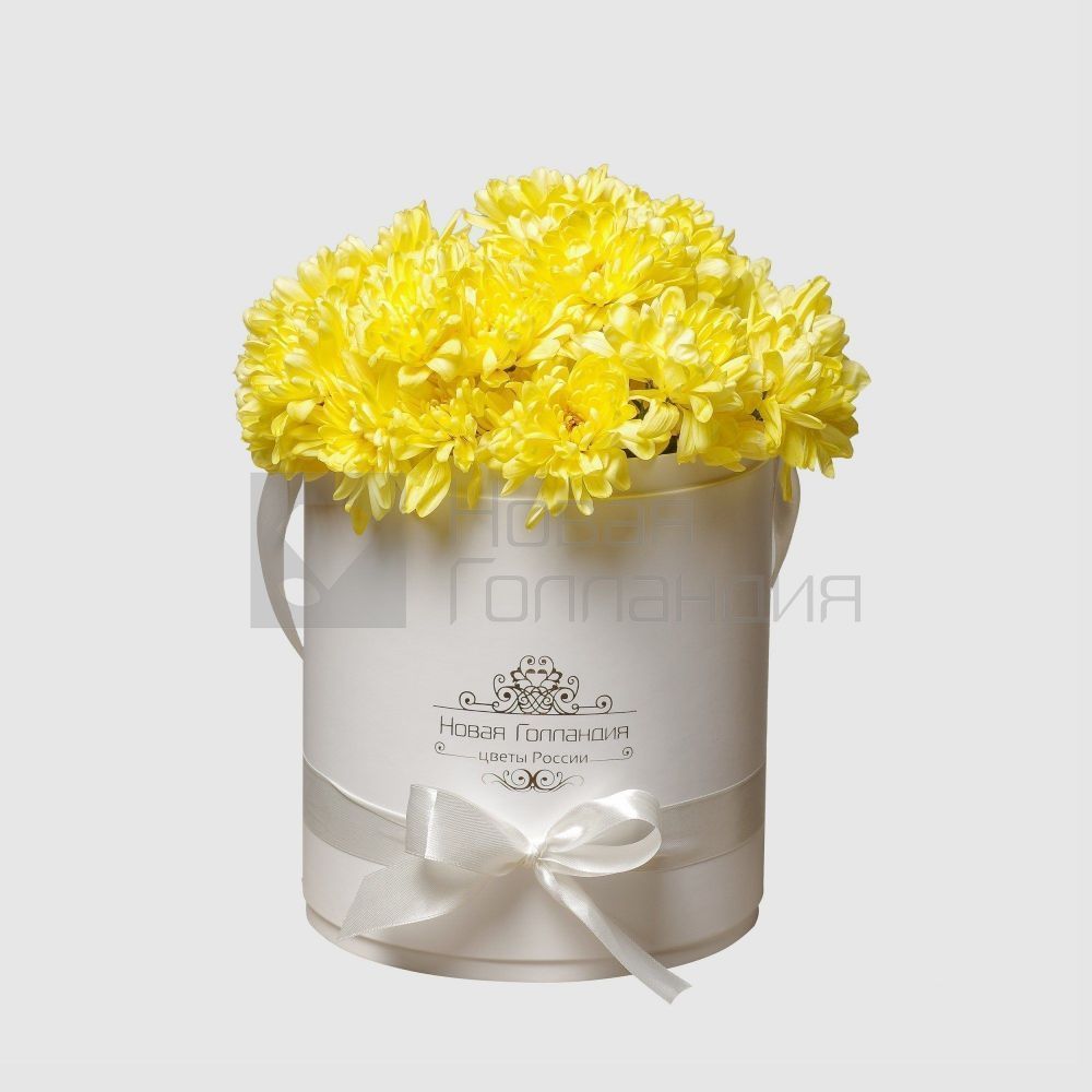 7 Желтых хризантем в белой шляпной коробке №81