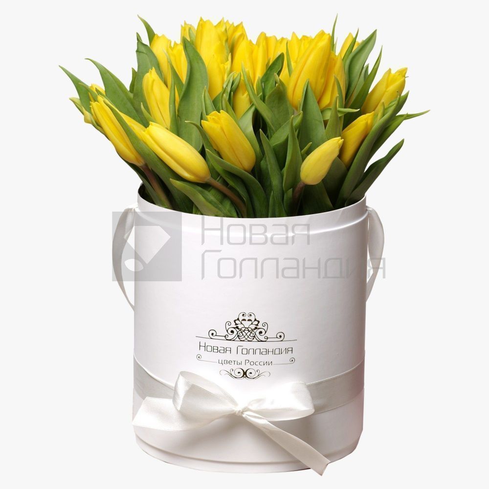 35 желтых тюльпанов в белой шляпной коробке №216