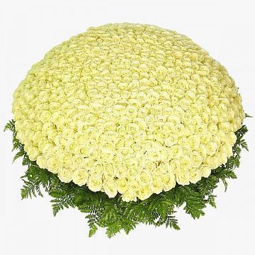 1001 белая роза в корзине