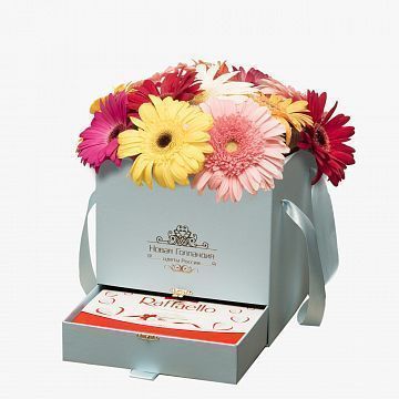 15 гербер в коробке шкатулке Тиффани с рафаэлло №491 15 гербер в коробке шкатулке Тиффани с рафаэлло №491