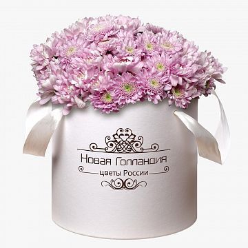 15 Розовых хризантем в большой белой коробке №244