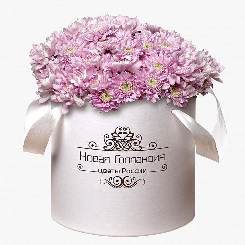 15 Розовых хризантем в большой белой коробке 