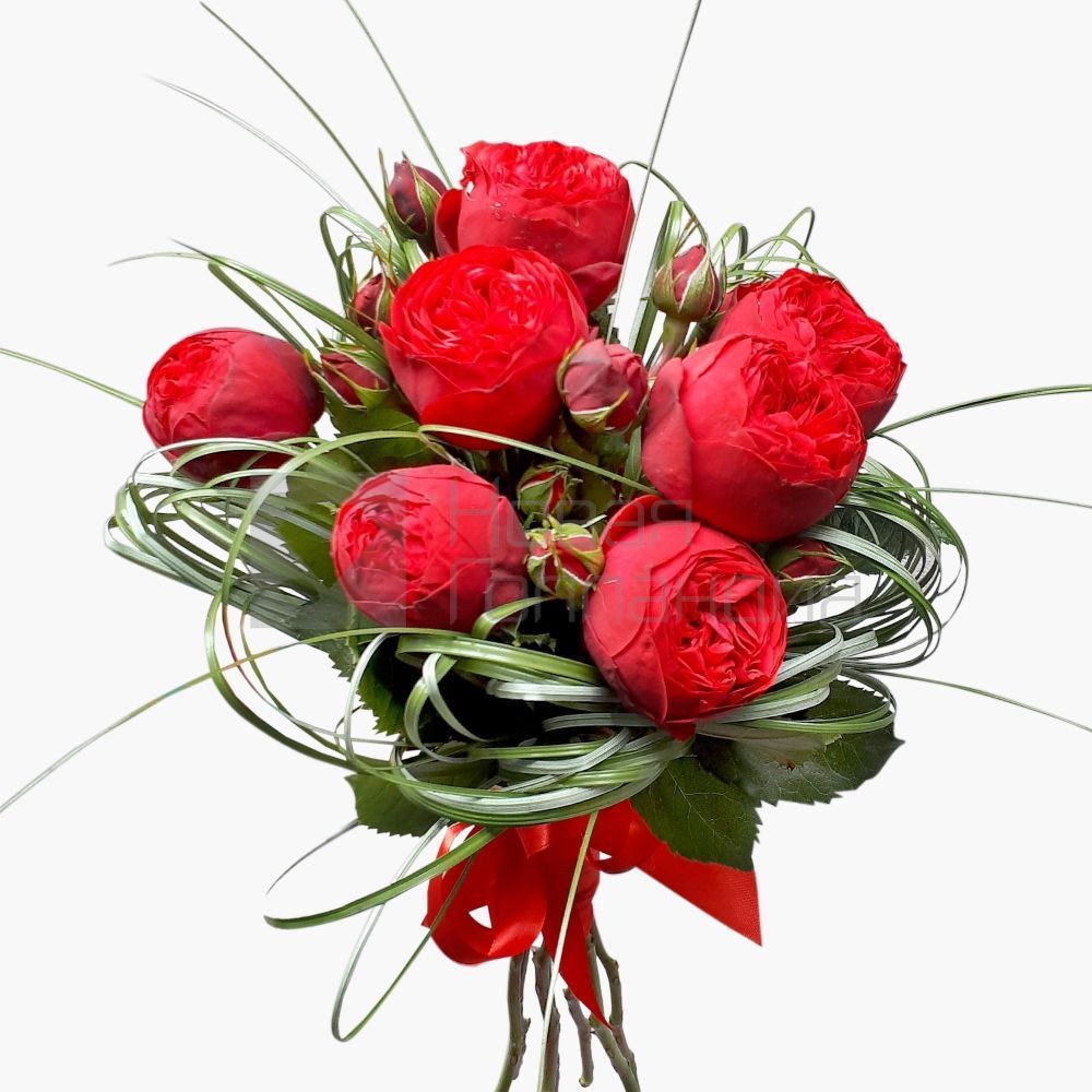 Букет из 7 красных пионовидных роз Премиум и зелени