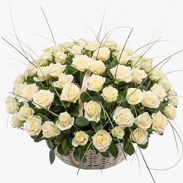 101 белая роза в большой корзине