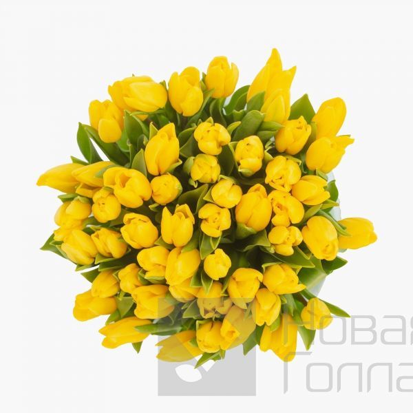 59 желтых тюльпанов в большой голубой шляпной коробке №529