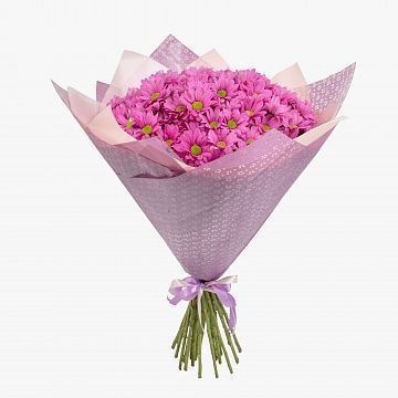 Букет 21 розовая кустовая хризантема