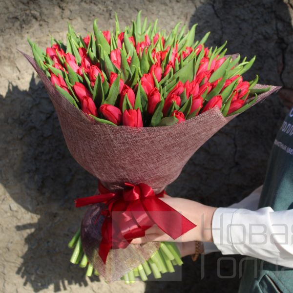 Букет 101 красный тюльпан