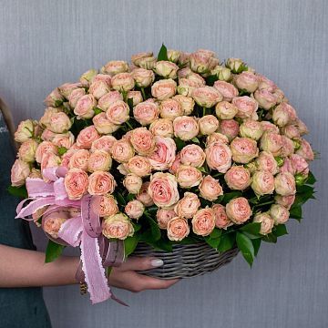 Светлая кустовая пионовидная роза в средней корзине Светлая кустовая пионовидная роза в средней корзине