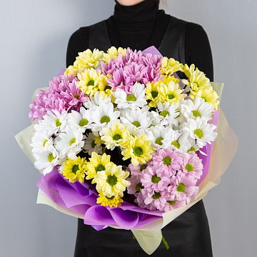 Букет Лучики солнца 9 ромашковых хризантем микс Букет Лучики солнца 9 ромашковых хризантем микс