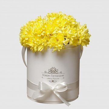 7 Желтых хризантем в белой шляпной коробке №81