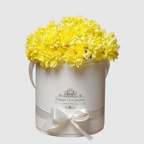 7 Желтых хризантем в белой шляпной коробке 