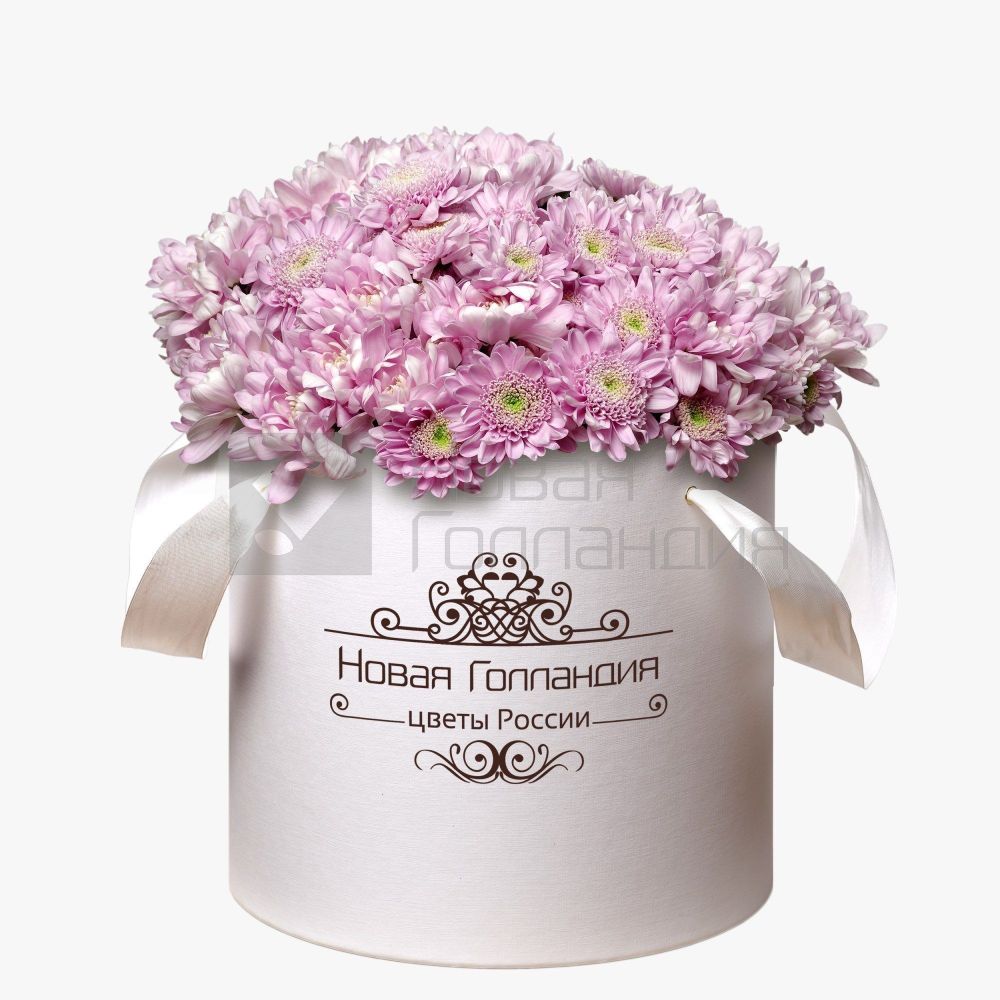 15 Розовых хризантем в большой белой коробке №244
