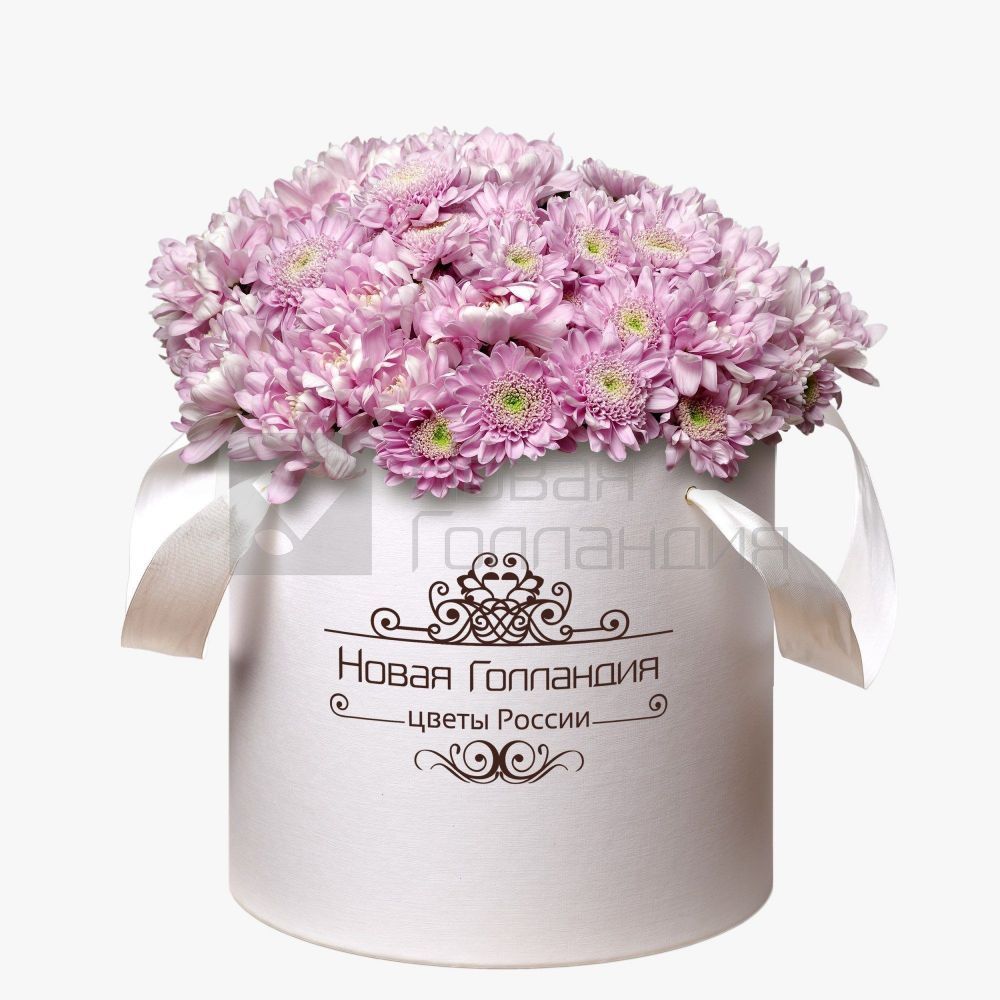 15 Розовых хризантем в большой белой коробке №244