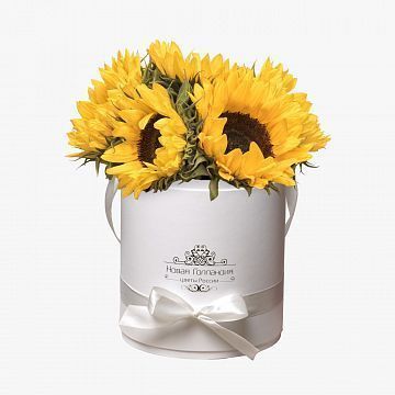 Подсолнухи в белой шляпной коробке Подсолнухи в белой шляпной коробке
