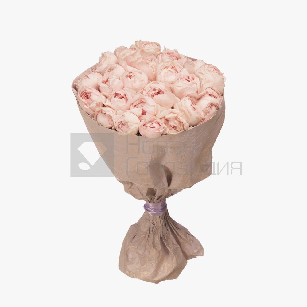 Букет 25 персиковых пионовидных роз Премиум