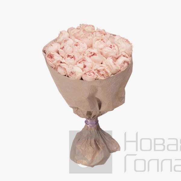 Букет 25 персиковых пионовидных роз Премиум