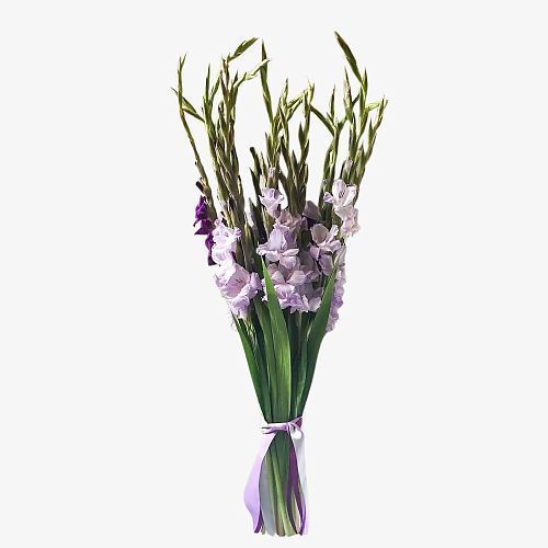 Букет из 15 гладиолусов