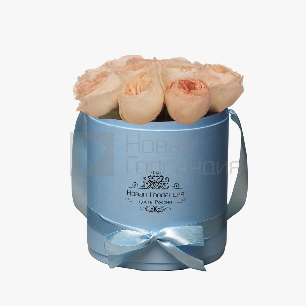11 персиковых пионовидных роз Премиум в голубой шляпной коробке №361