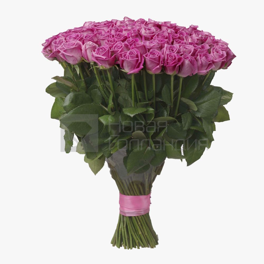 Букет 101 розовая роза 50 см Россия