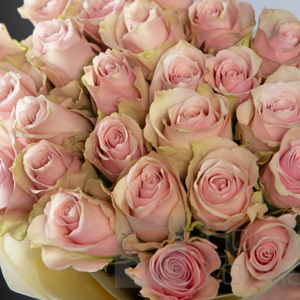 Букет 25 нюдовых роз Кения 40 см  в упаковке