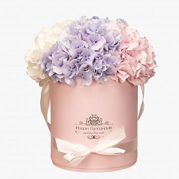 5 Гортензий в розовой шляпной коробке 5 Гортензий в розовой шляпной коробке