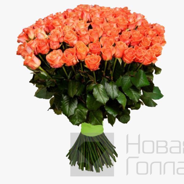 Букет 101 оранжевая роза 40 см Россия