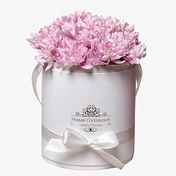 7 Розовых хризантем в белой шляпной коробке №82