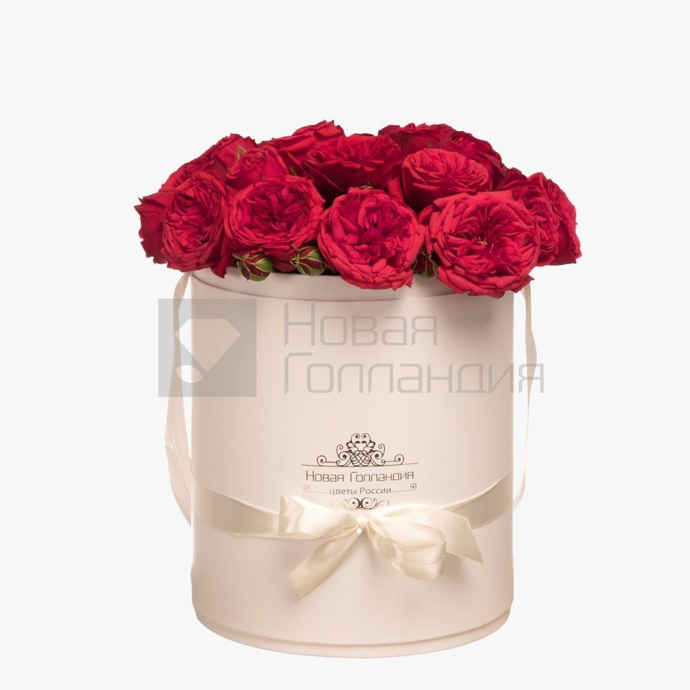 19 красных пионовидных роз премиум в большой белой шляпной коробке №348