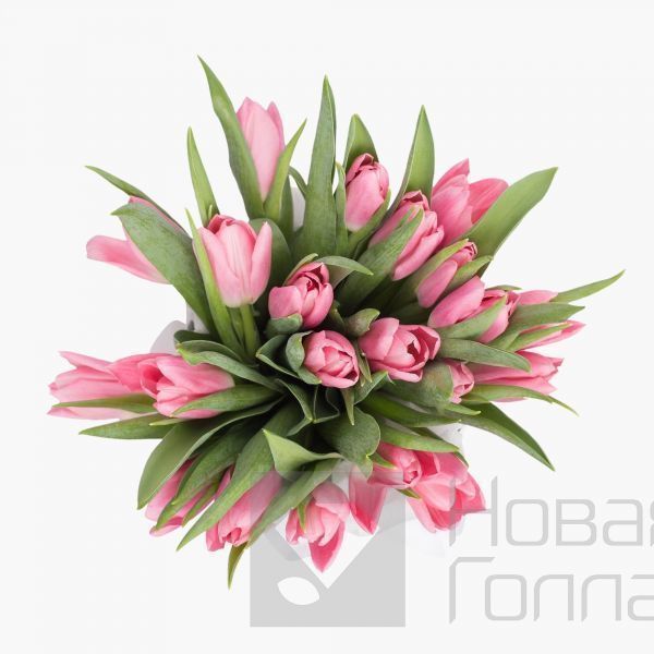 25 розовых тюльпанов в белой маленькой шляпной коробке №528