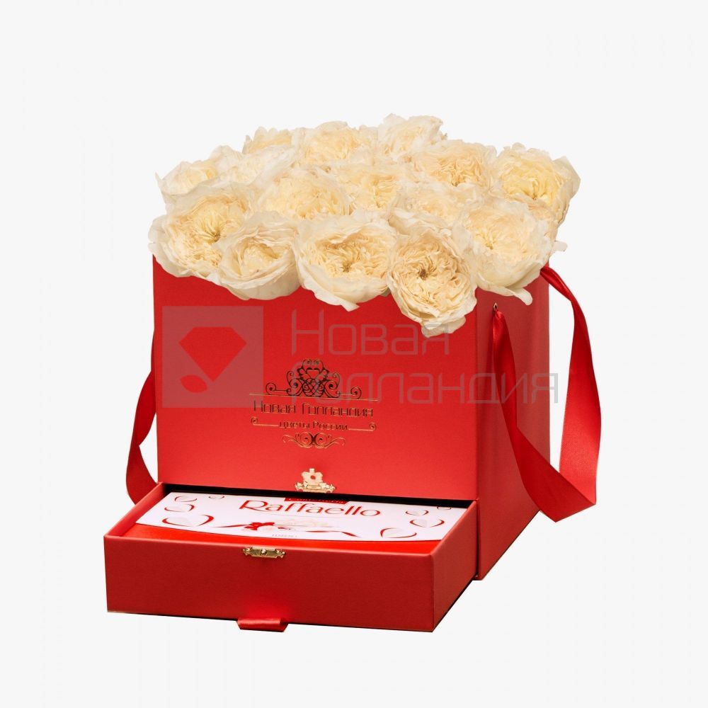 15 белых пионовидных роз Премиум в красной коробке шкатулке рафаэлло в подарок №370