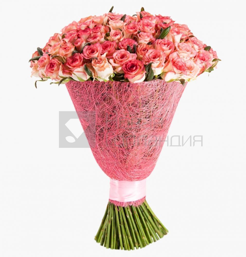 Букет 101 розовая роза 70 см