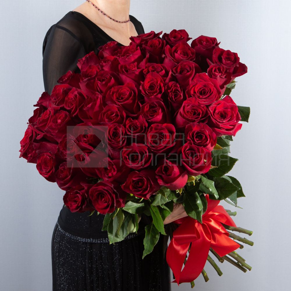 Букет 51 красная роза Премиум Эквадор 50 см