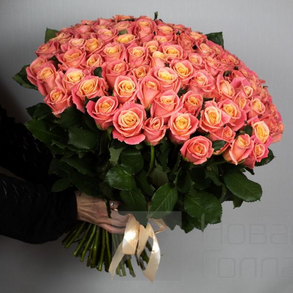 Букет 101 персиковая роза 40 см