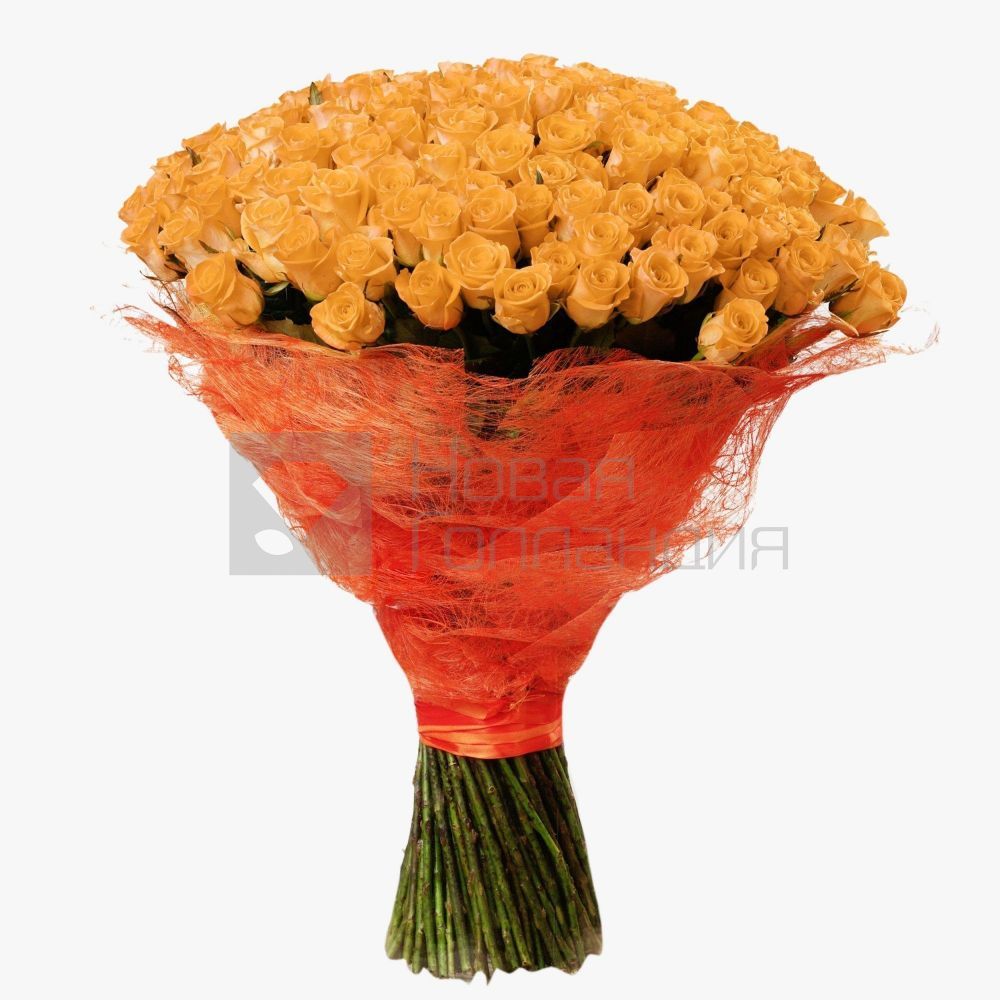 Букет 151 оранжевая роза 60 см