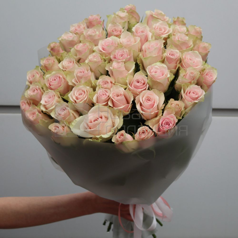 Букет 51 нюдовая роза Кения 50-60 см в упаковке