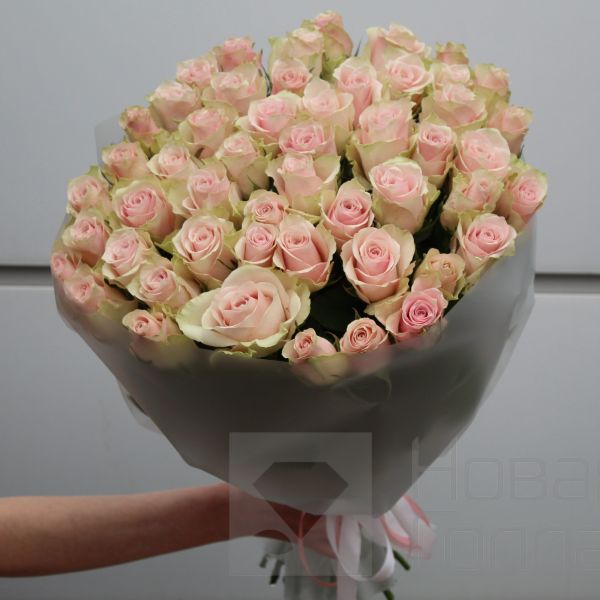 Букет 51 нюдовая роза Кения 50-60 см в упаковке