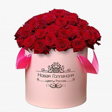 51 Красная роза в большой розовой шляпной коробке №308 51 Красная роза в большой розовой шляпной коробке №308